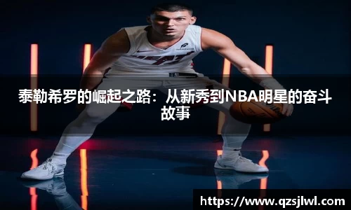  333体育官方首页网址